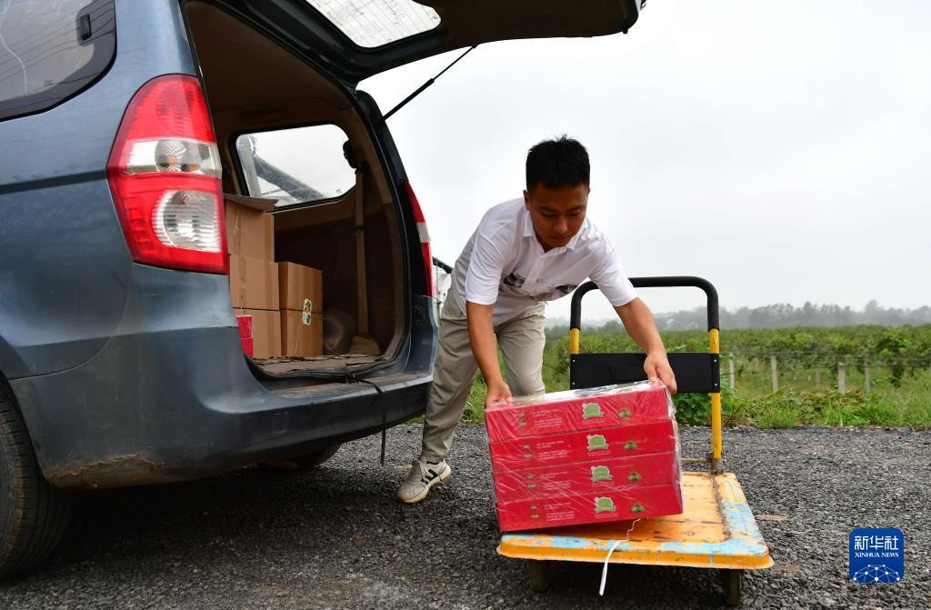 白菜网2025体验金无需申请